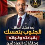 بعد فشل البدائل.. الجنوب يتمسك بقيادته وقواته وحلفائه الصادقين