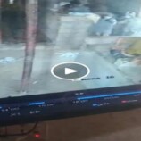 الأمن في المحفد يضبط متهمًا بسرقة سيارة بعد عملية رصد وتعقب بين محافظتي أبين وشبوة