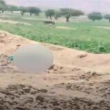 جريمة مروعة تهز محافظة عمران اليمنية