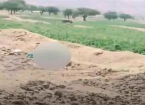 جريمة مروعة تهز محافظة عمران اليمنية