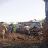 حريق يلتهم 50 شجرة نخيل وممتلكات سكنية في شبوة