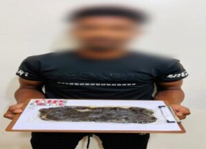 ادارة مكافحة المخدرات بعدن تطيح بمروج وبحوزته كمية من الحشيش المخدر