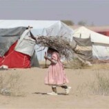 تقرير دولي : اليمن ضمن أكثر أزمات النزوح إهمالاً في العالم خلال 2025